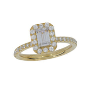 RSL25743	RINGS
